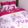 Bộ chăn ga gối drap giường màu trơn cotton satin Hàn Quốc Julia 499BC