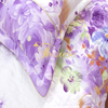 Bộ chăn ga gối drap giường 100% cotton sợi bông Hàn Quốc Julia 206BC