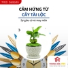 đồng hồ acb