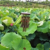 Chuông gió phong thủy hợp kim nhôm - LPCGJ18
