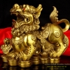 Ty-huu-dong-nhu-y-01