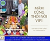 Thôi Nôi Bé Gái VIP 1 - Cơ Bản