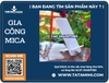 Kệ mica để điện thoại để bàn trong suốt, in ảnh khắc QR theo yêu cầu.