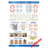 Tranh giải phẫu răng & các bệnh lý thường gặp