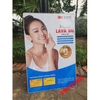 Tranh 