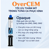 OverCEM SA - Cement Resin Lưỡng Trùng Hợp Tự Dán (Ý) | Mua 5 Tặng Đèn Trám