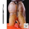 Mũi phẫu thuật Mani Surgical Burs MZB+