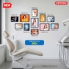 Set tranh nha khoa chất liệu fomex
