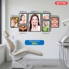 Set tranh nha khoa chất liệu fomex