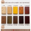 Mẫu Bàn Thờ Sen BT08