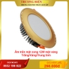Âm trần mặt cong 12W mặt vàng