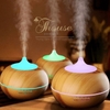 MÁY KHUẾCH TÁN TINH DẦU NÚI LỬA 300ML