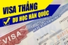 ĐIỂM CỘNG KHI DU HỌC CHƯƠNG TRÌNH VISA THẲNG HÀN QUỐC