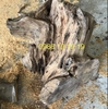Đôn gỗ Ngọc am đỏ