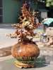 Bình Phú Quý Hoa Mai Gỗ Nu Hương