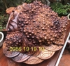 Tượng Cóc Tài Lộc Gỗ Hương Krongpa Gia lai