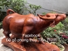 Tượng trâu phong thủy gỗ hương gia lai