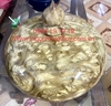 Bình Phú Quý Tài Lộc Gỗ Ngọc Nghiến