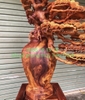 Bình Phú Quý Tùng Bon Sai Gỗ Nu Hương