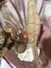 Hoa sen gỗ bách xanh mộc