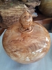 Bình phú quý nu pơ mu cao 28cm dk 28cm