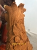 Cá xiêm Gỗ ngọc Am Hà Giang Thơm Phức