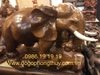 Tượng Voi Phong Thuỷ Gỗ Nu Hương
