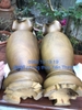 Lộc Bình Bách gỗ Bách Xanh