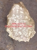 Khay Trà Gỗ Ngọc Nghiến