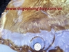 Khay trà gỗ ngọc nghiến, rộng 50cm sâu 40cm dày 4cm 
