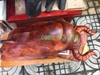 Tượng Bò Tót Gỗ Hương Gia Lai, Cao 42cm rộng 60cm sâu 26cm