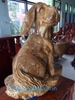Tượng chó phong thủy gỗ ngọc nghiến, Cao 56cm rộng 40cm sâu 30cm