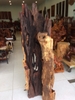 Tượng Đạt Ma Gỗ Hương gia Lai  vân chun nu rất đẹp,Cao 1m46cm rộng 56cm sâu 30cm