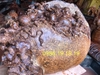 Tượng di lặc ngồi bao tiền, gỗ nu ngọc am hoàng su phì Hà Giang
