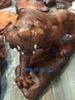 Tượng Hổ Gỗ Hương Vân Chun Sụn, Cao 30cm rộng 68cm sâu 25cm