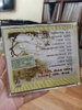 cd-ha-noi-mua-vang-nhung-con-mua