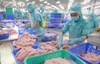 TÌNH HÌNH XUẤT NHẬP KHẨU CÁ TẠI KHU VỰC MIỀN BẮC NỬA ĐẦU NĂM 2025 VÀ TIỀM NĂNG PHÁT TRIỂN VÀO NỬA CUỐI NĂM 2025