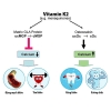 4 lý do khiến vitamin K2 MK7 trở thành vi chất “thông minh” nhất giúp trẻ đột phá chiều cao