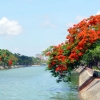 Điểm mua hàng mới tại Hải Phòng