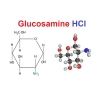 Glucosamine Dùng sao cho đúng?