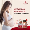 Mẹ Bầu Cần Bổ Sung Sắt Từ Tháng Thứ Mấy?