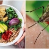 Giai đoạn phục hồi sau sốt xuất huyết- Cần làm gì?