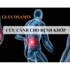 Tác dụng của glucosamine trong chữa các chứng bệnh về khớp
