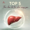 Top 5 Thảo Dược Được Dùng Nhiều Trong Hỗ Trợ Chức Năng Gan