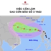 Việc Cần Làm Sau Cơn Bão Số 3 Yagi Để Đảm Bảo Sức Khỏe