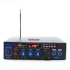 Ampli Karaoke Mini 12V đă năng 2 cổng Mic BT-309A