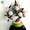 Cây Đào Đá Thạch Anh Hồng đế tròn 12 quả