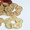Đồng Tiền Hoa Mai Mạ Vàng 24K đường kính 1,5cm