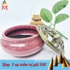 Lư Hương Đốt Trầm Gốm Sứ Cao Cấp Màu Hồng