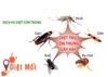 12 mẹo đuổi và diệt ruồi tự nhiên, không độc hại